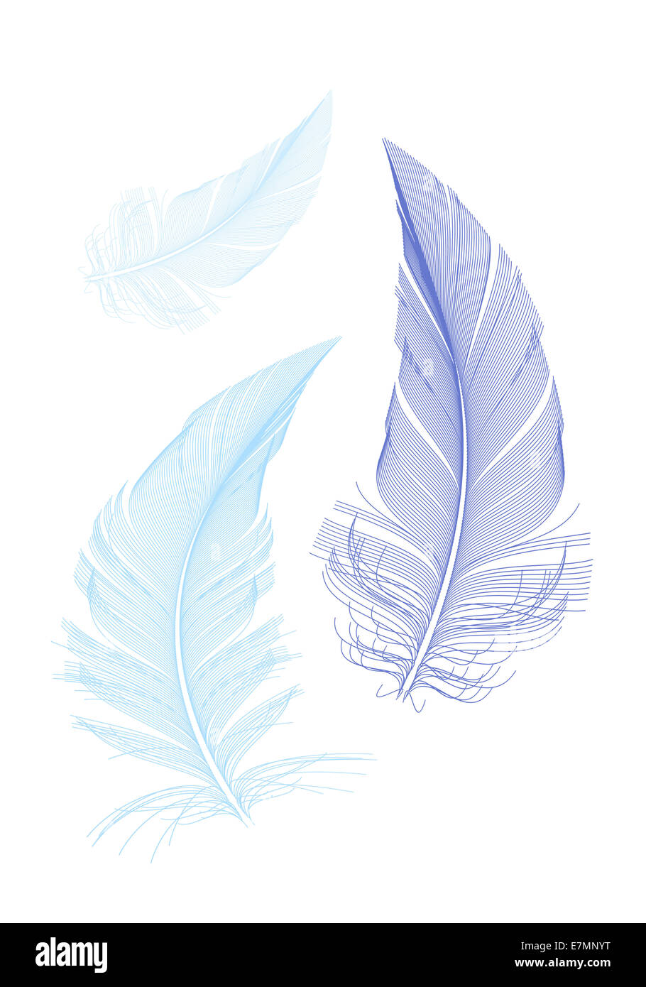 Uccelli blu piume, illustrazione vettoriale Foto Stock
