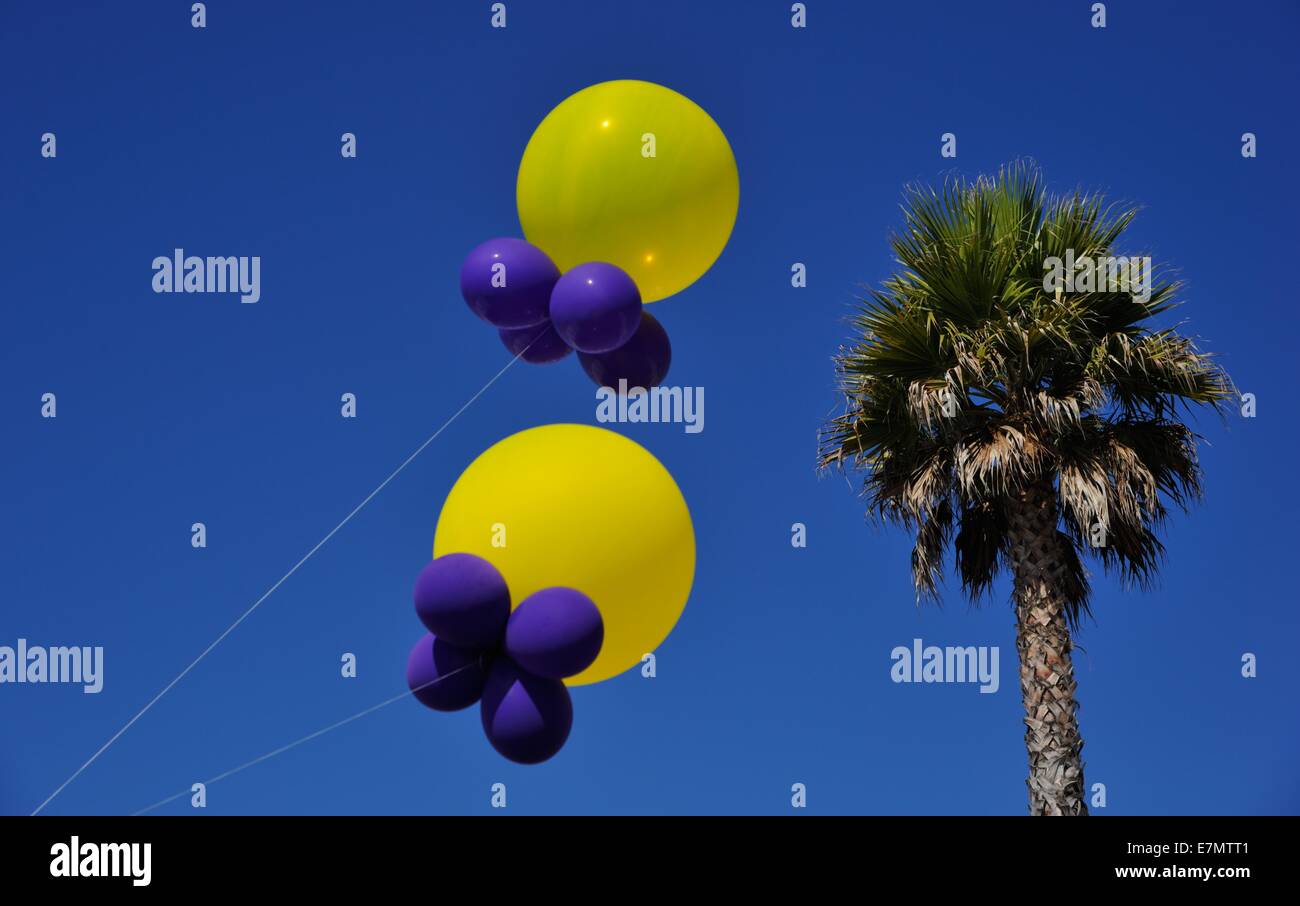 Palm Tree e due palloncini gialli, Capitola CA Foto Stock
