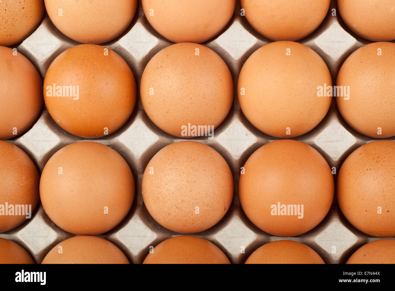 Primo piano della materie uovo di pollo in un vassoio Foto Stock