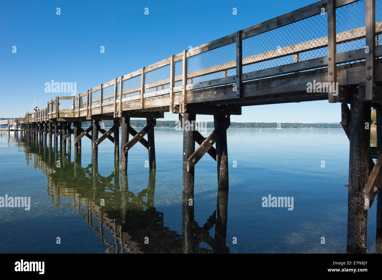 Dock a Joemma Beach State Park sulla Penisola di chiave, Washington, Stati Uniti d'America Foto Stock
