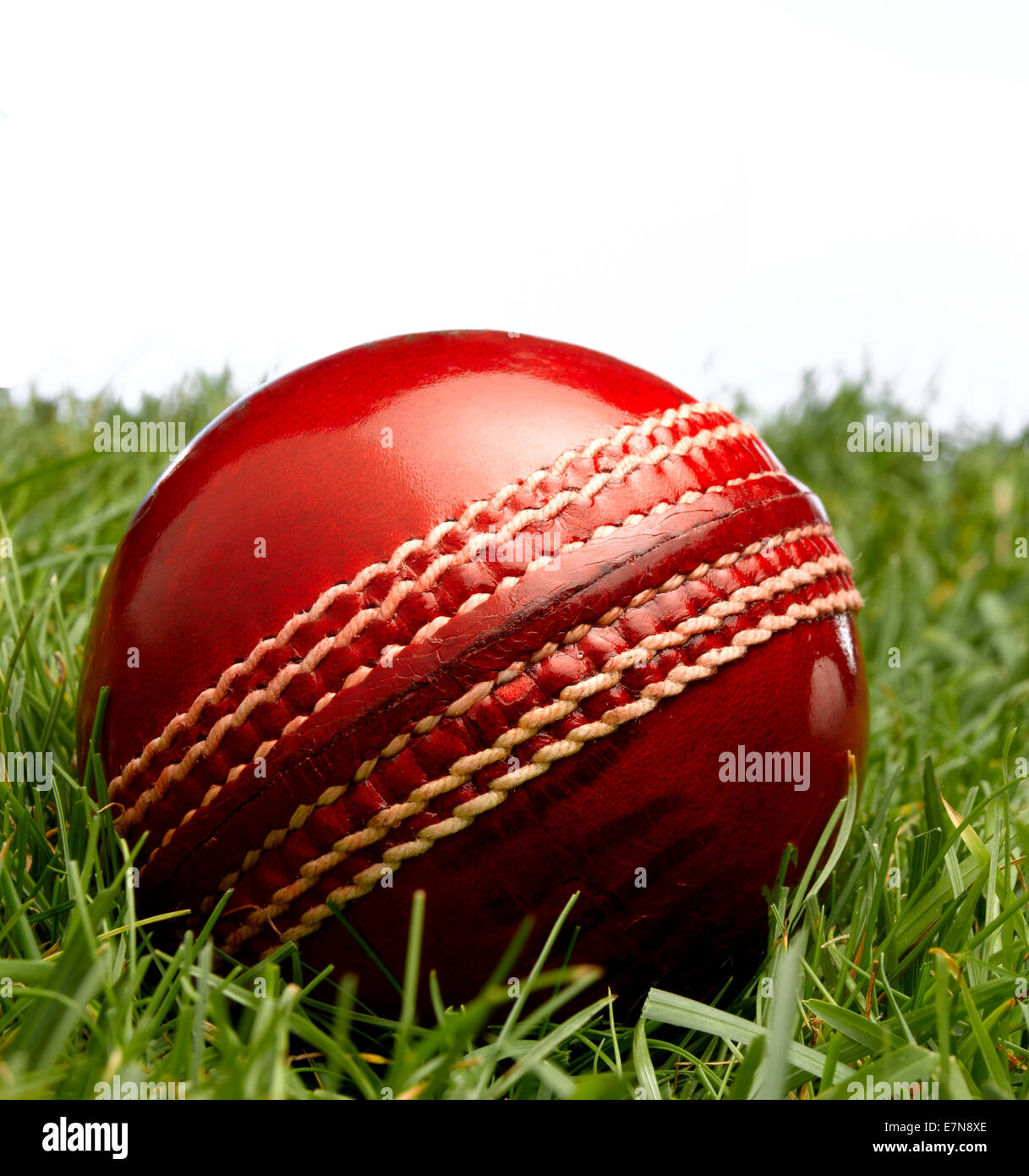 In pelle rossa sfera di cricket Foto Stock
