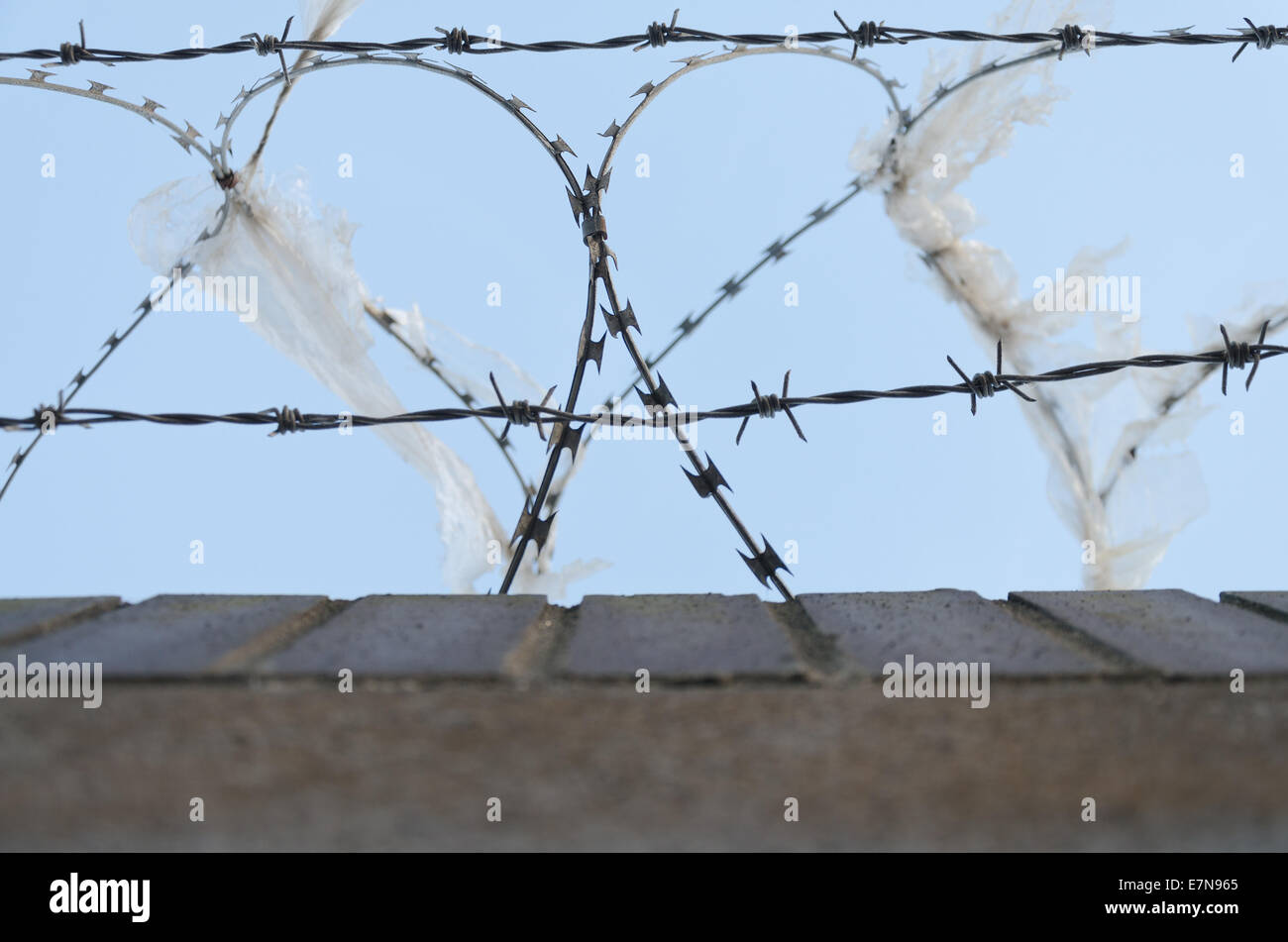 Galvanizzata con livello di protezione alto filo di rasoio e fili spinati deterrente per rallentare l arrampicata su pareti con massa di plastica trinciato Foto Stock