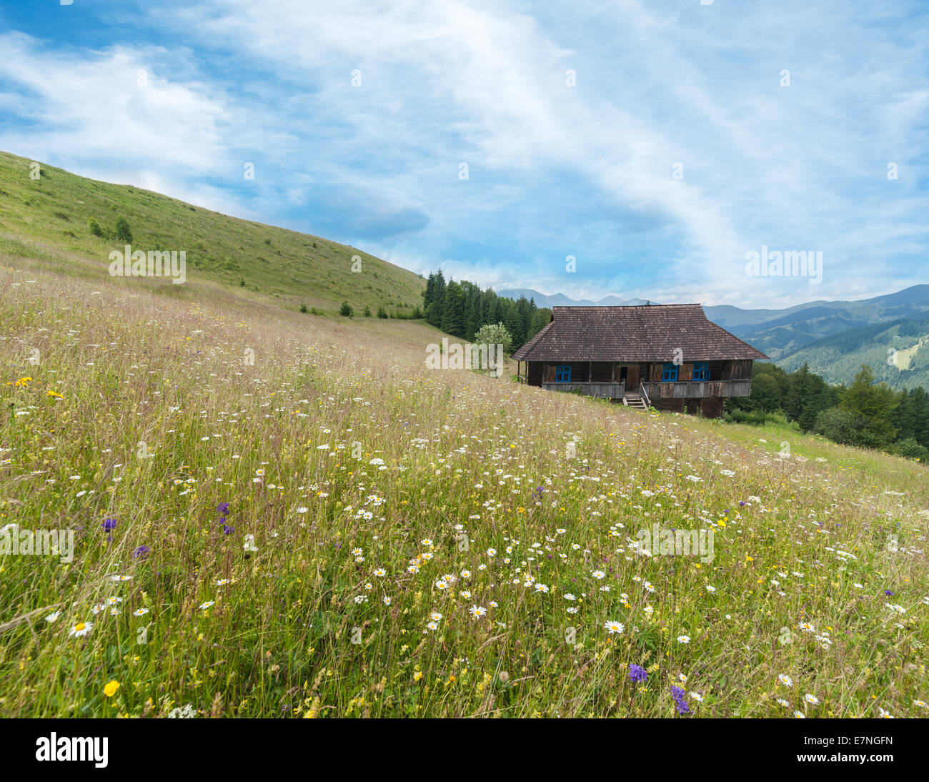Carpazi paesaggio rurale. Piccolo villaggio con il tradizionale legno Casa al Prato sotto blu cielo soleggiato Foto Stock