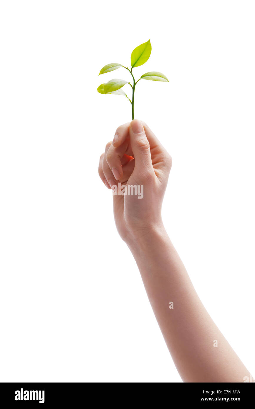 Close-up delle mani Foto Stock