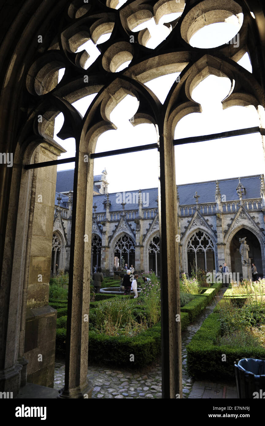 Paesi Bassi. Utrecht. San Martin's Cathedral. Medioevo. Gotico francese. Chiesa protestante dal 1580. Il chiostro del XV secolo. Foto Stock