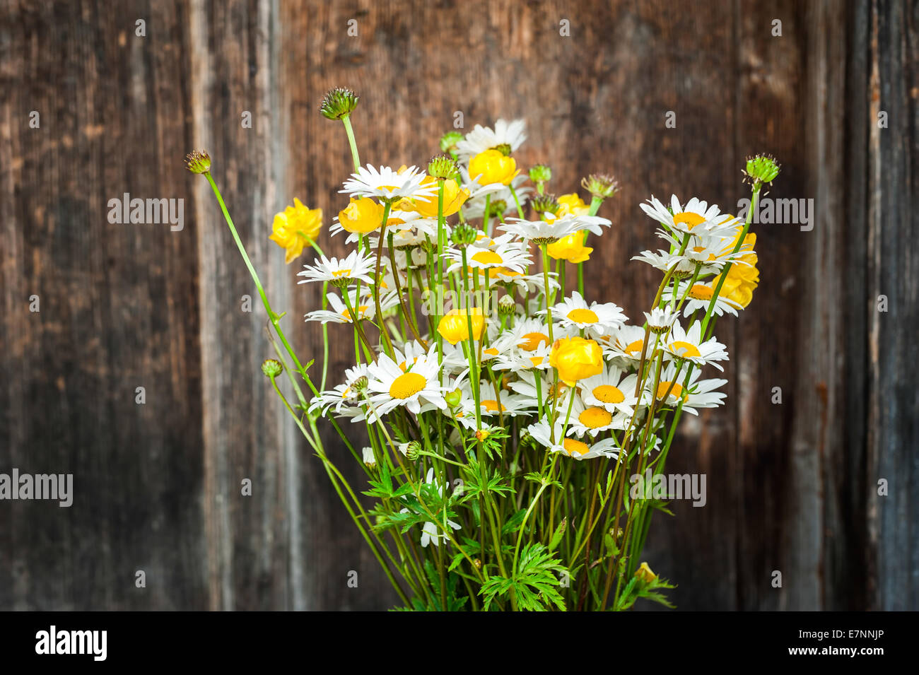 Bella gara bouquet di prato estivo fiori con wild chamomiles su sfondo di legno. Composizione floreale in rurale vintage Foto Stock