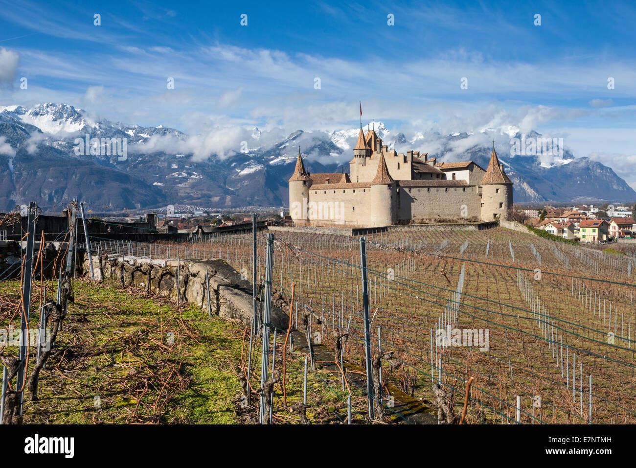 Castello, Aigle, Aigle, Svizzera, Europa, canton Vaud, castello, vigneto Foto Stock