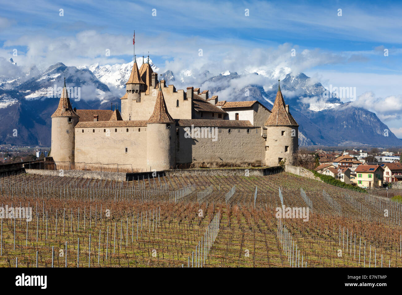 Castello, Aigle, Aigle, Svizzera, Europa, canton Vaud, castello, vigneto Foto Stock