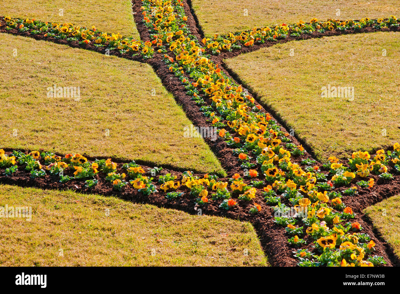 Austria, Salisburgo, giardino, il giardino del castello, fiori, aiuole, pansies, viole, giardino, giardino, la disposizione delle piante, Foto Stock