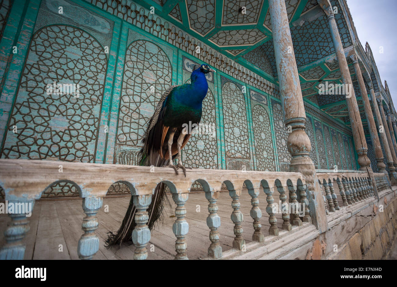 Bukhara, Chor Bakr, complesso, Uzbekistan, Asia Centrale, Asia, architettura, balcone, blu, città, colorato, decorazione, giardino, h Foto Stock