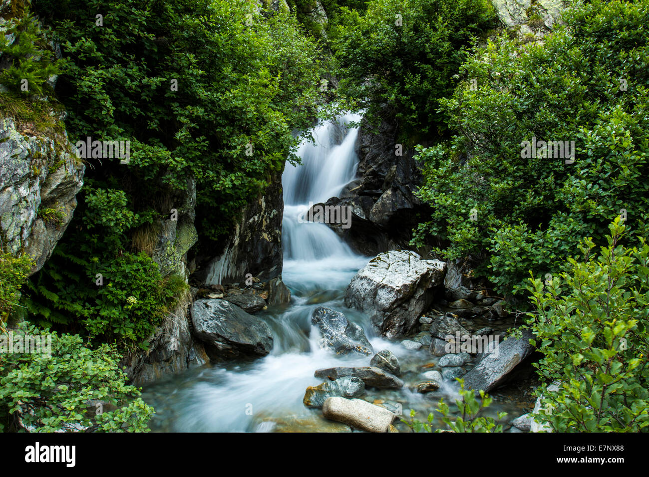 La natura, l'acqua, cascata, montagna, pietra, Alpi, Svizzera Foto Stock