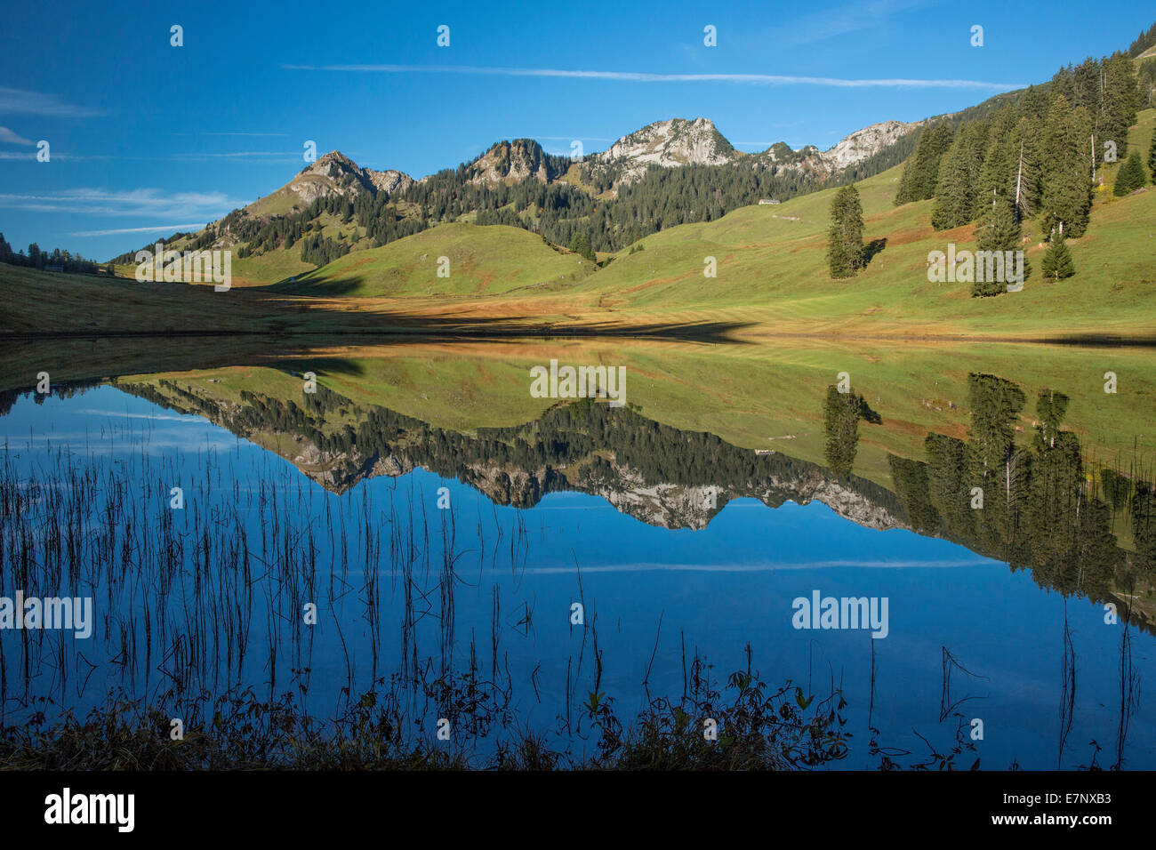 Toggenburg, Gräppelensee, lago, montagna, montagne, lago di montagna, autunno, riflessione, SG, Canton San Gallo, Toggenburgo, Svizzera Foto Stock