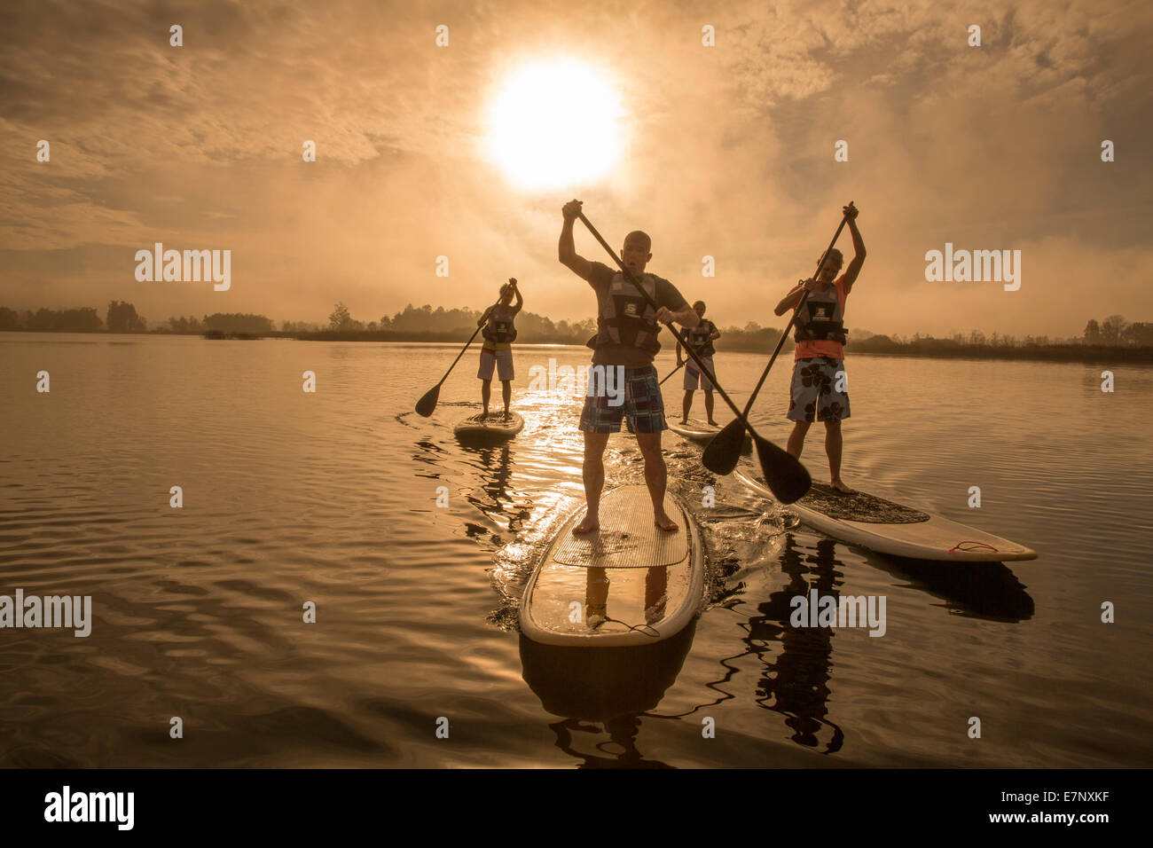 Seegräben, paddle, Pfäffikersee, Stand Up Paddling, lago, laghi, sport acquatici, sport, canton Zurigo, sunrise, Svizzera, Euro Foto Stock