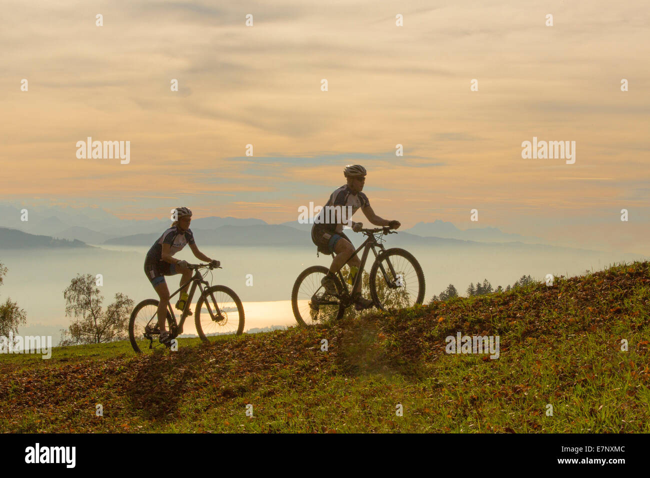 Mountain Biker, Bachtel, lago di Zurigo, vista catena alpina, canton Zurigo, montagna, montagne, sport, tempo libero, avventura, moun Foto Stock