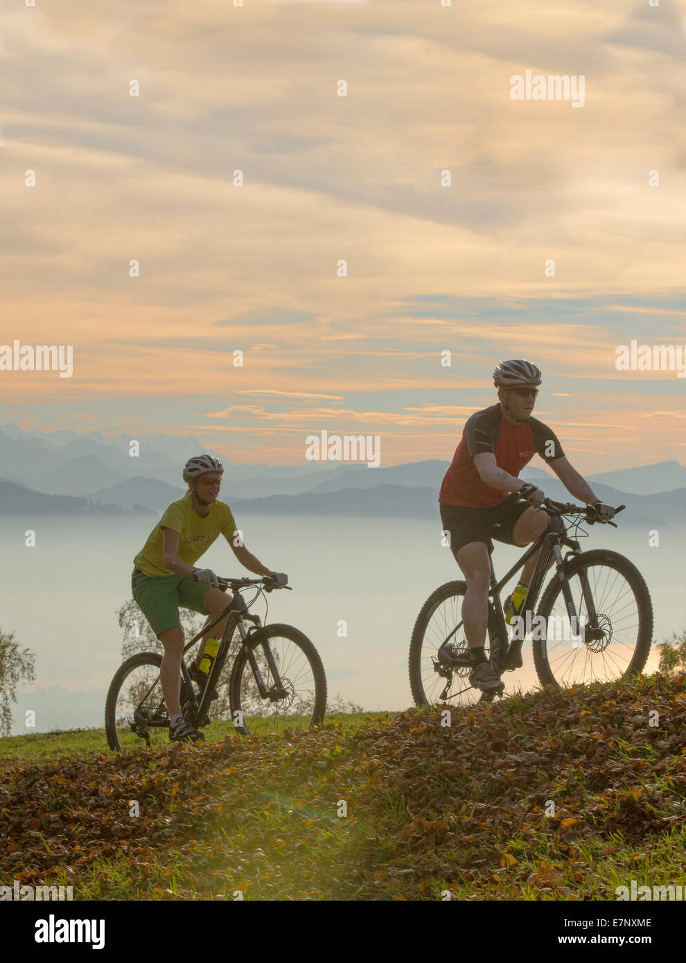 Mountain Biker, Bachtel, lago di Zurigo, vista catena alpina, canton Zurigo, montagna, montagne, sport, tempo libero, avventura, moun Foto Stock