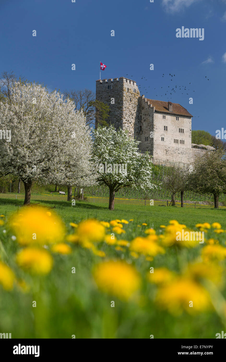 Habsburg castle immagini e fotografie stock ad alta risoluzione Alamy