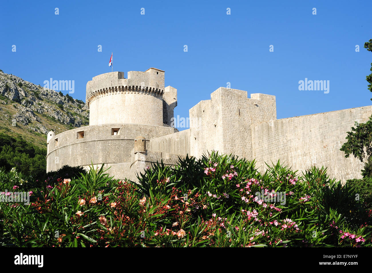 Castello, Adriatico, antica, architettura, luminoso, Croazia, Balcani, Europa, Dalmazia, Dubrovnik, Europa, fort, fortezza, il patrimonio Foto Stock