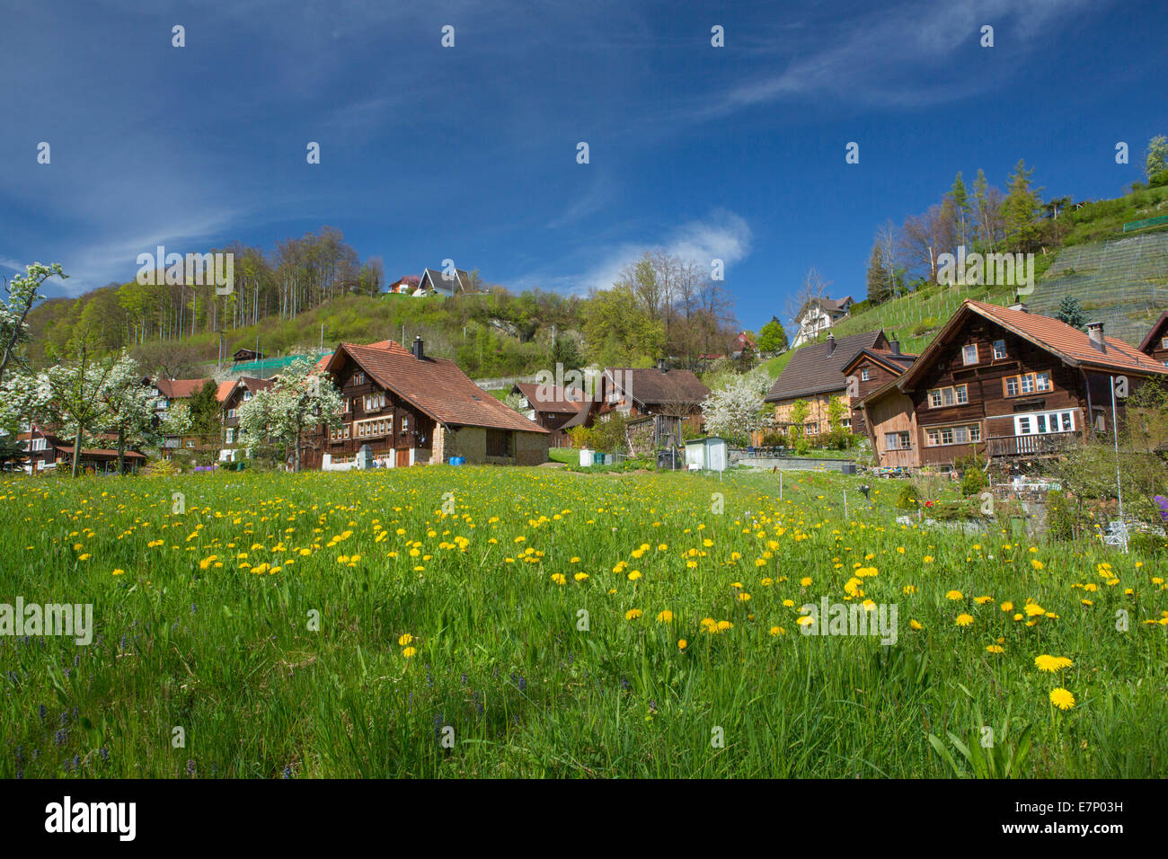 Lutzenberg, Wienacht Tobel, villaggio, del cantone di Appenzell Ausserrhoden, molla, Svizzera, Europa Foto Stock