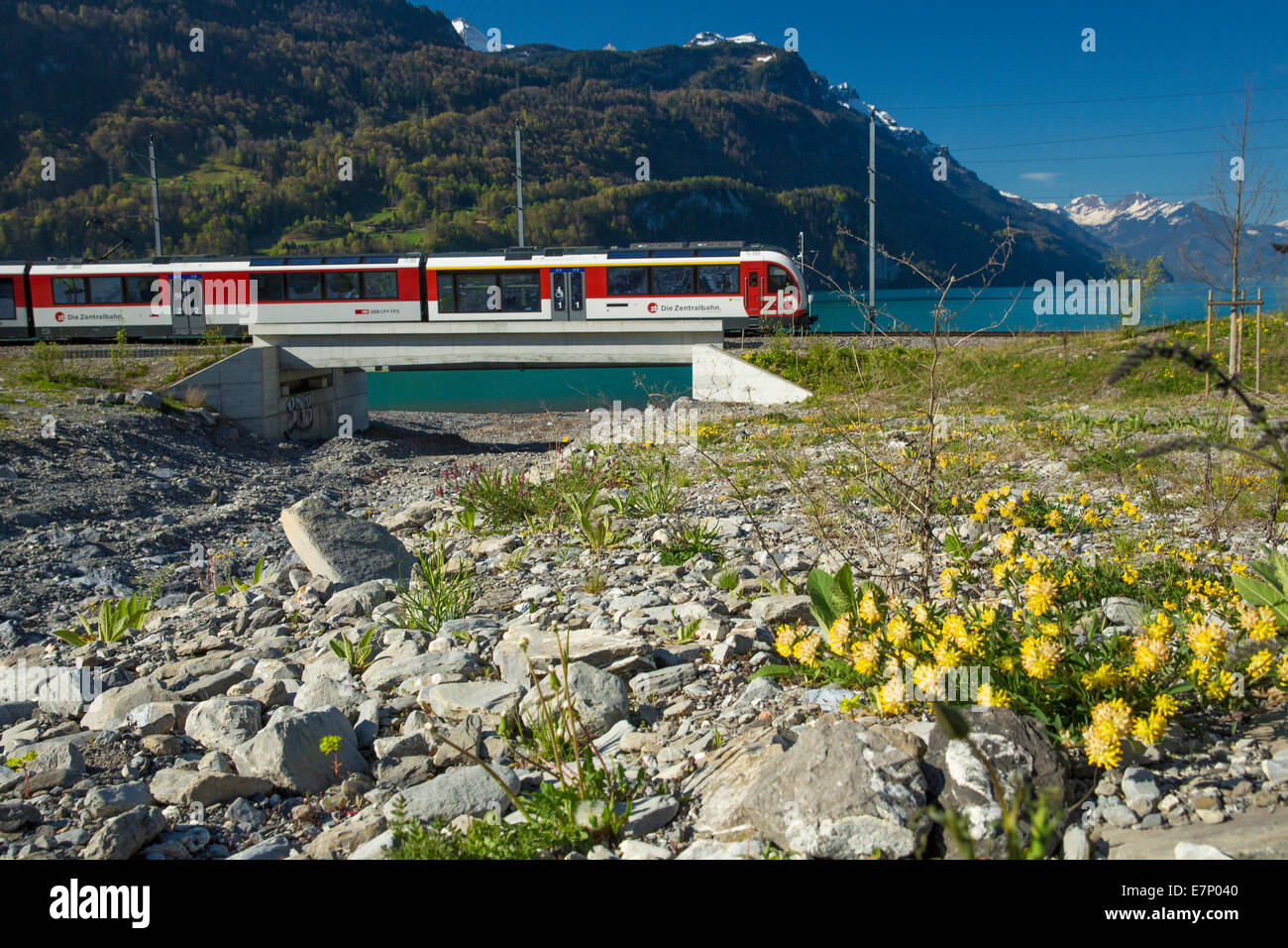 Brienzersee, strada centrale, Brienz, molla, Canton Berna, lago, laghi, Oberland bernese, la stazione ferroviaria, il Treno, Ferrovia, Svizzera, UE Foto Stock