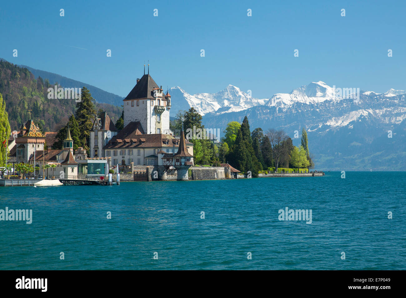 Castello, Oberhofen, il lago di Thun, molla, Canton Berna, Alpi Bernesi, Oberland bernese, Jungfrau, Monaco, il Mönch e l'Eiger, Svizzera e UE Foto Stock