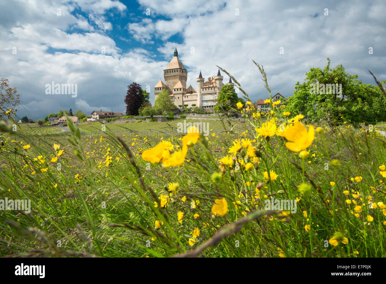 La Cote, Vufflens-le-Chateau VD, Canton, VD, Vaud, Western Svizzera romanda, sul lago di Ginevra, castello, Svizzera, Europa Foto Stock