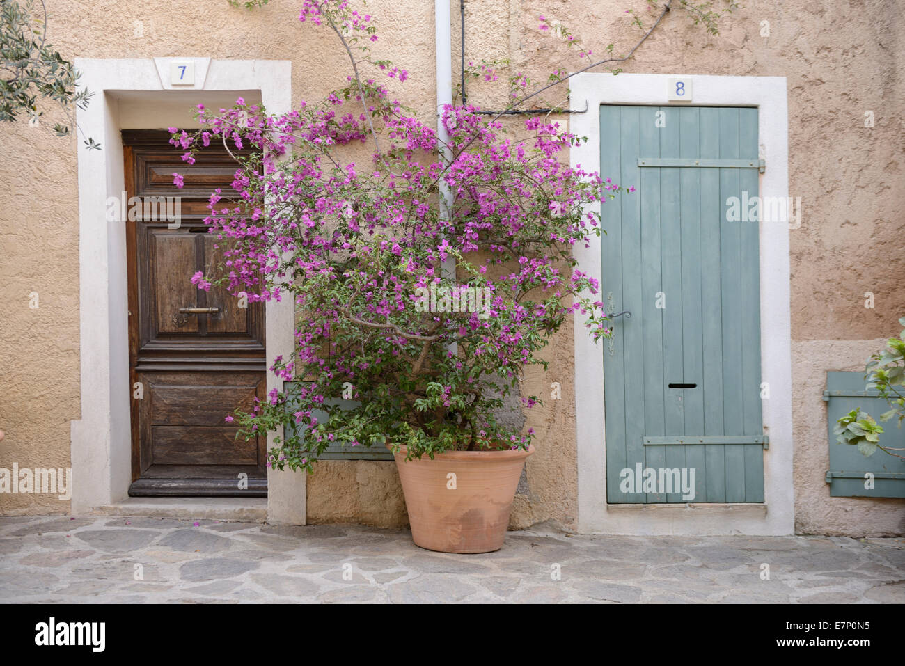 L'Europa, Francia, Provence-Alpes-Côte d'Azur, in Provenza Ramatuelle, fiori, facciata, porta, città Foto Stock