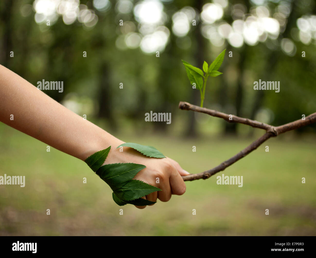 Il concetto di ambiente. Stretta di mano tra mano umana e l'albero. Foto Stock