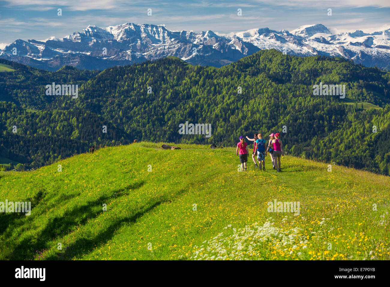 Altipiani di Zurigo, passeggiate, escursioni, Hörnli, Alpi mountain, montagne, gruppo, sentiero, gruppo, donne, canton Zurigo, Svizzera, e Foto Stock