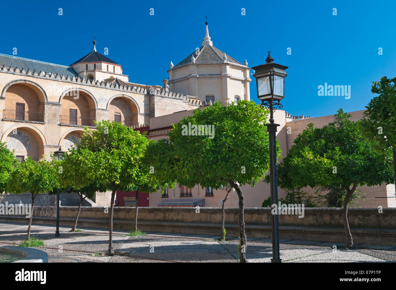 Plaza del Triumfo e Palacio Episcopal Cordoba Andalusia Spagna Foto Stock