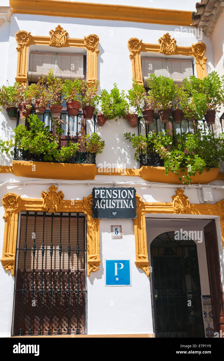 Piccola guest house Cordoba Andalusia Spagna Foto Stock