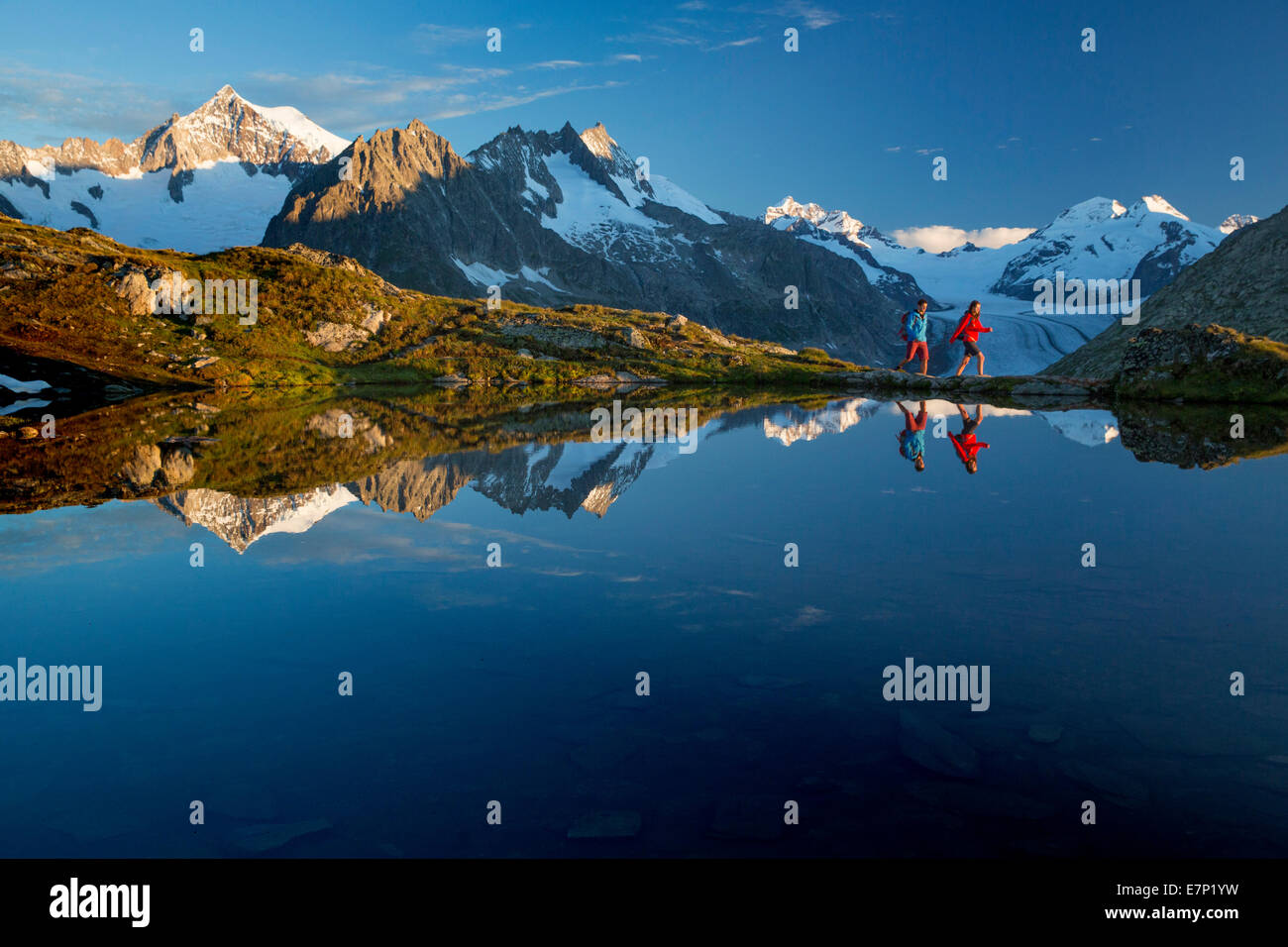 Eggishorn, escursionista Tällisee, ghiacciaio di Aletsch, montagna, montagne, ghiacciai, ice, Moraine, estate sport, tempo libero, avventura, ca Foto Stock