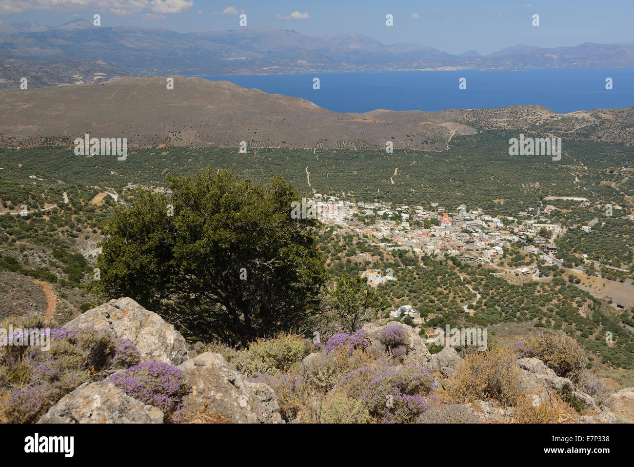 In Europa, in Grecia, greco, Creta, mediterraneo, isola, Kavousi, paesaggio Foto Stock
