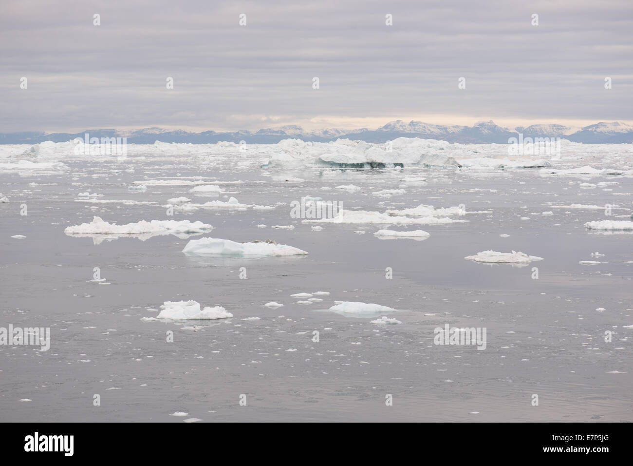 Paesaggio artica in Groenlandia intorno a Ilulissat con gli iceberg e montagne Foto Stock