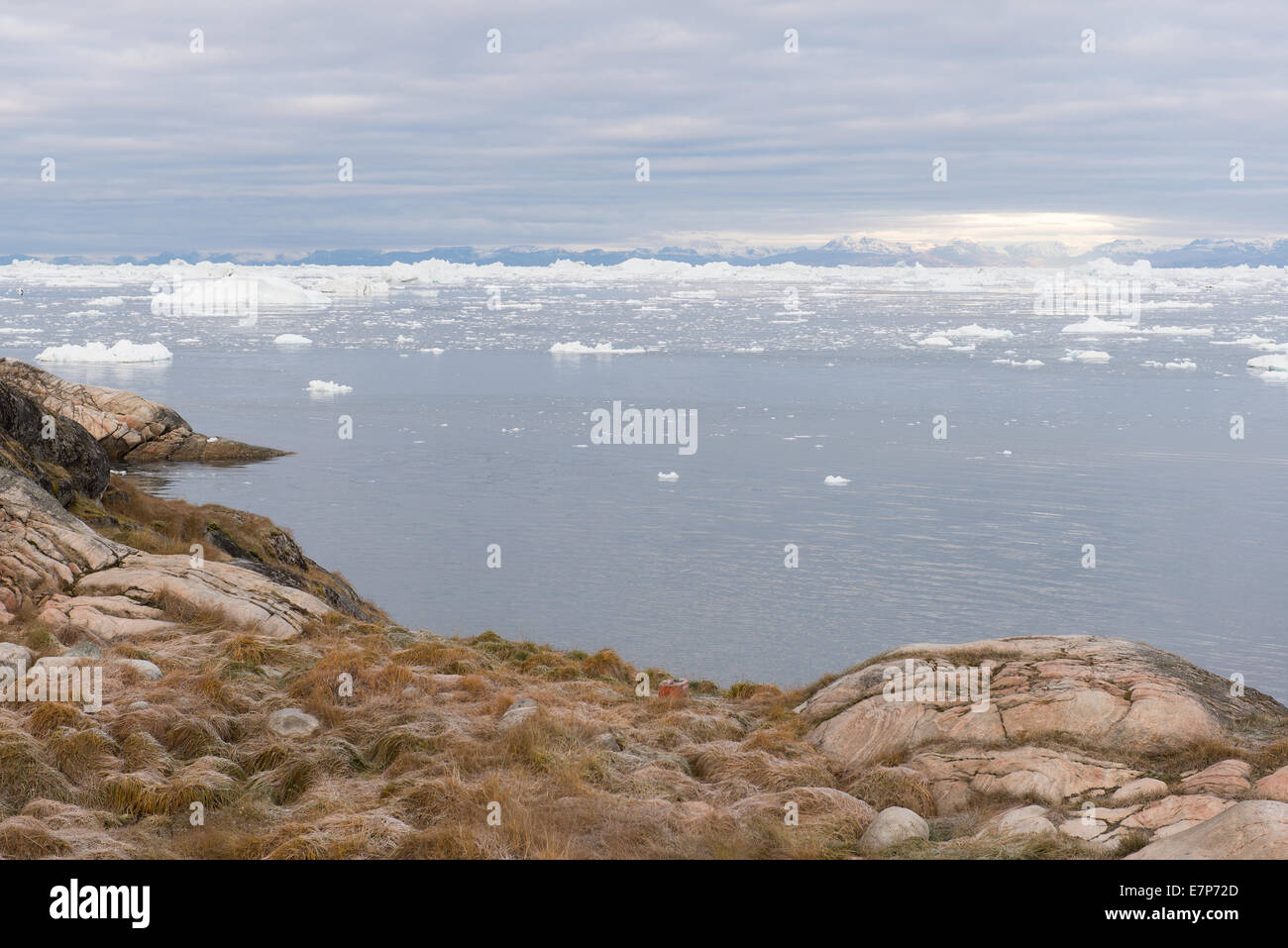 Paesaggio artica in Groenlandia intorno a Ilulissat con gli iceberg e montagne Foto Stock