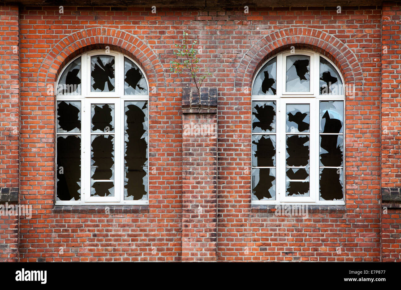 Devastazione industriale dal 1999, Hannoversche Gummiwerke Excelsior, Continental AG, Limmer, Hannover, Bassa Sassonia, Germania, UE Foto Stock