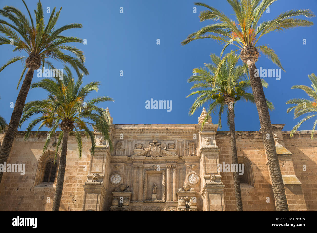 Spagna, Almeria, palme di fronte cattedrale di Almeria Foto Stock