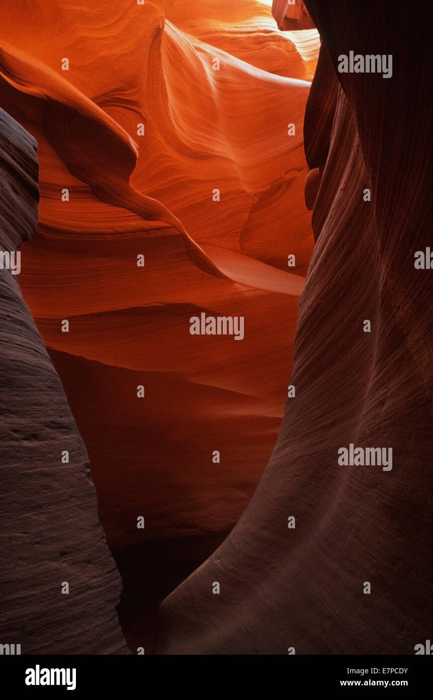 Le pareti scolpite di Antelope Canyon noto anche come slot Canyon o vento grotte, vicino a pagina, Arizona. Questi canyon si trovano w Foto Stock