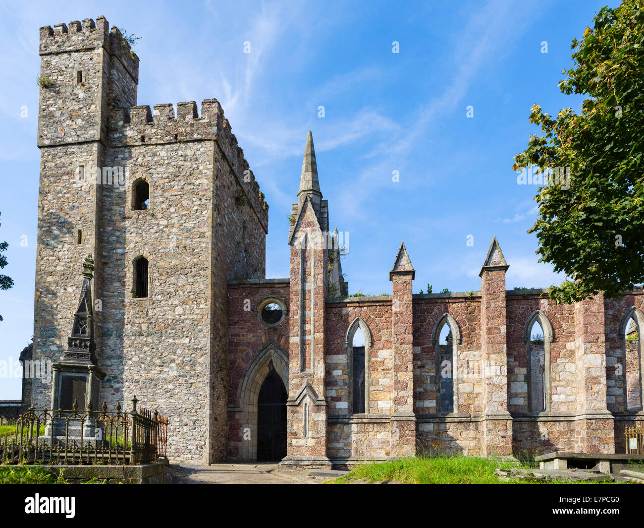 Selskar Abbey e la cittadina di Wexford, County Wexford, Repubblica di Irlanda Foto Stock