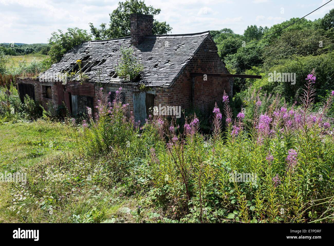 Fatiscente e malandato edificio sulla Trent e Mersey Canal a Rode Heath Cheshire England Regno Unito Regno Unito Foto Stock