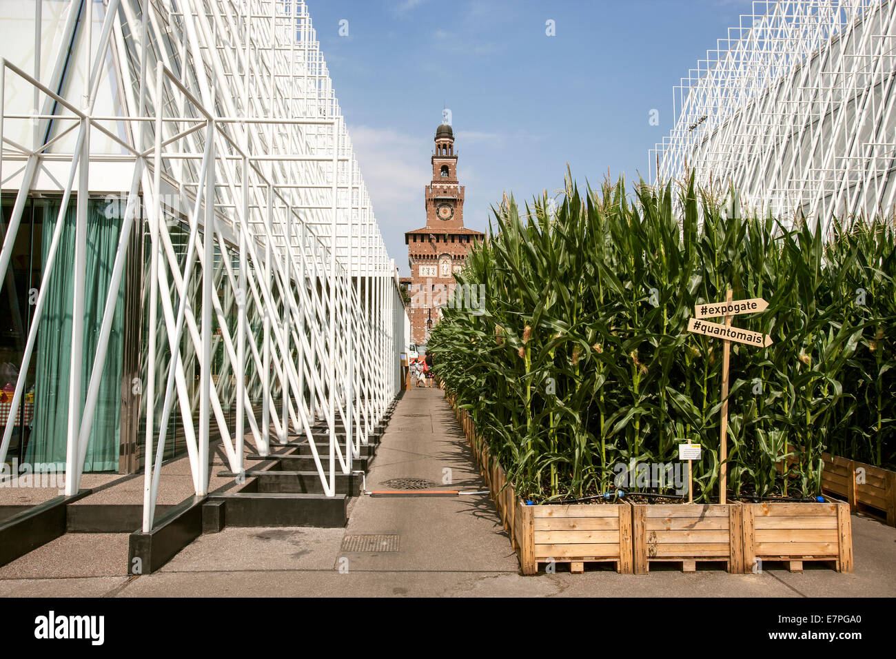 Milano Expo 2015, EXPOGATE, equo universale, Castello Sforzesco, città, gate, infopoint, mais aiuole, segnaletica, Italia Foto Stock