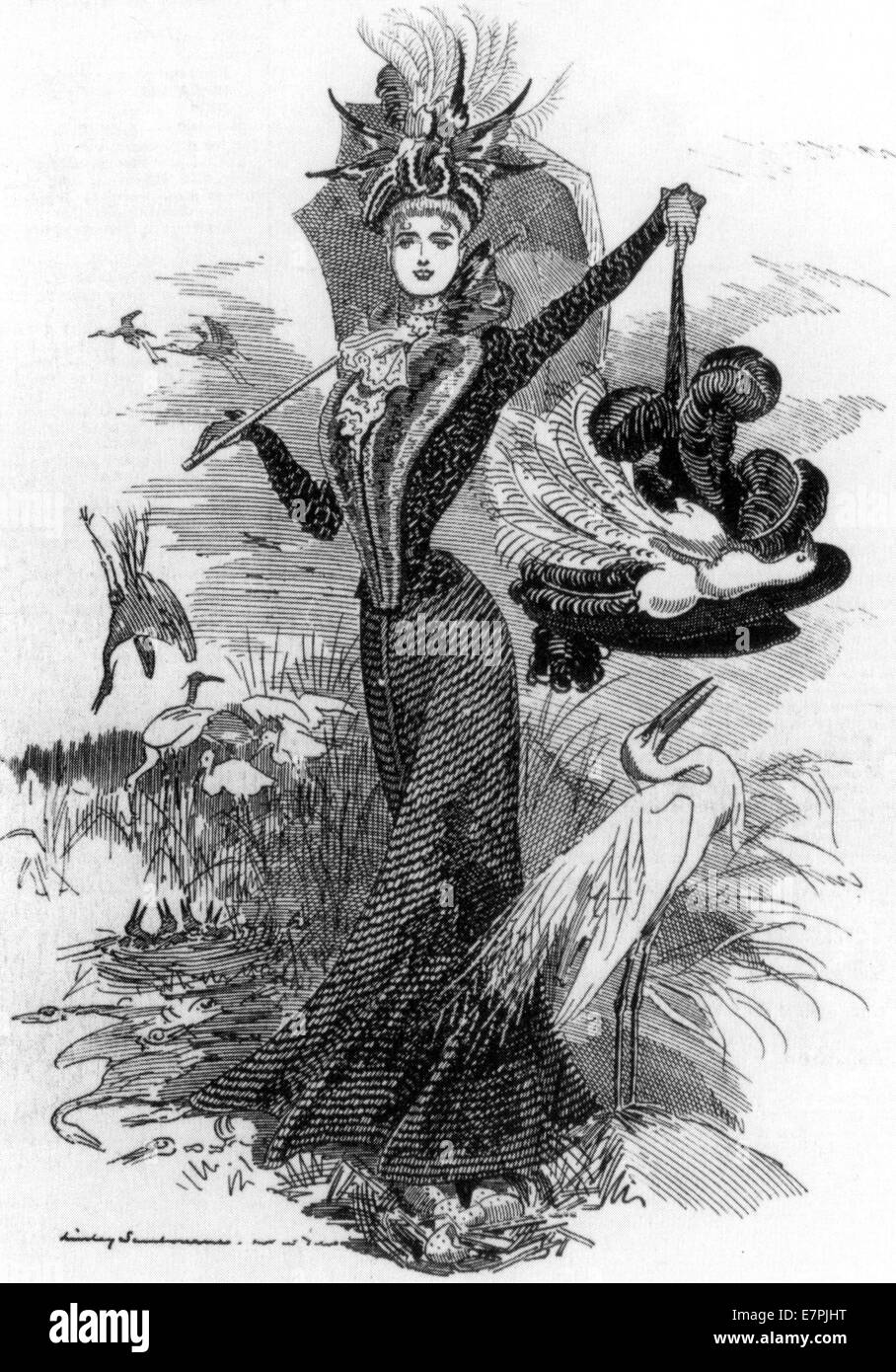 'L'estinzione della specie " o il quartiere alla moda di Lady senza misericordia e le garzette. Punch cartoon 1899. Foto Stock