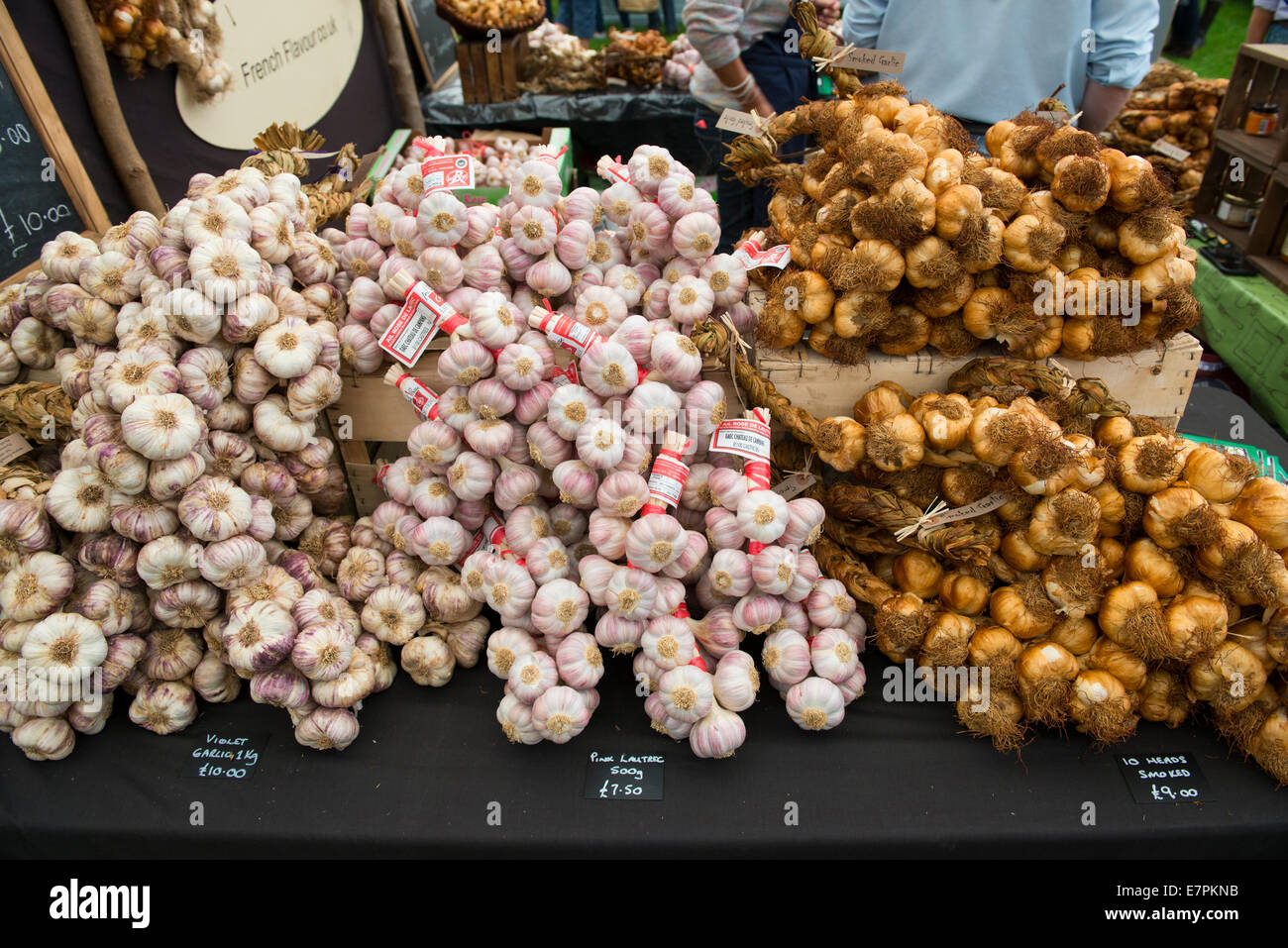 Aglio in vendita presso il 2014 Ludlow Food Festival, venerdì 12 settembre. Foto Stock