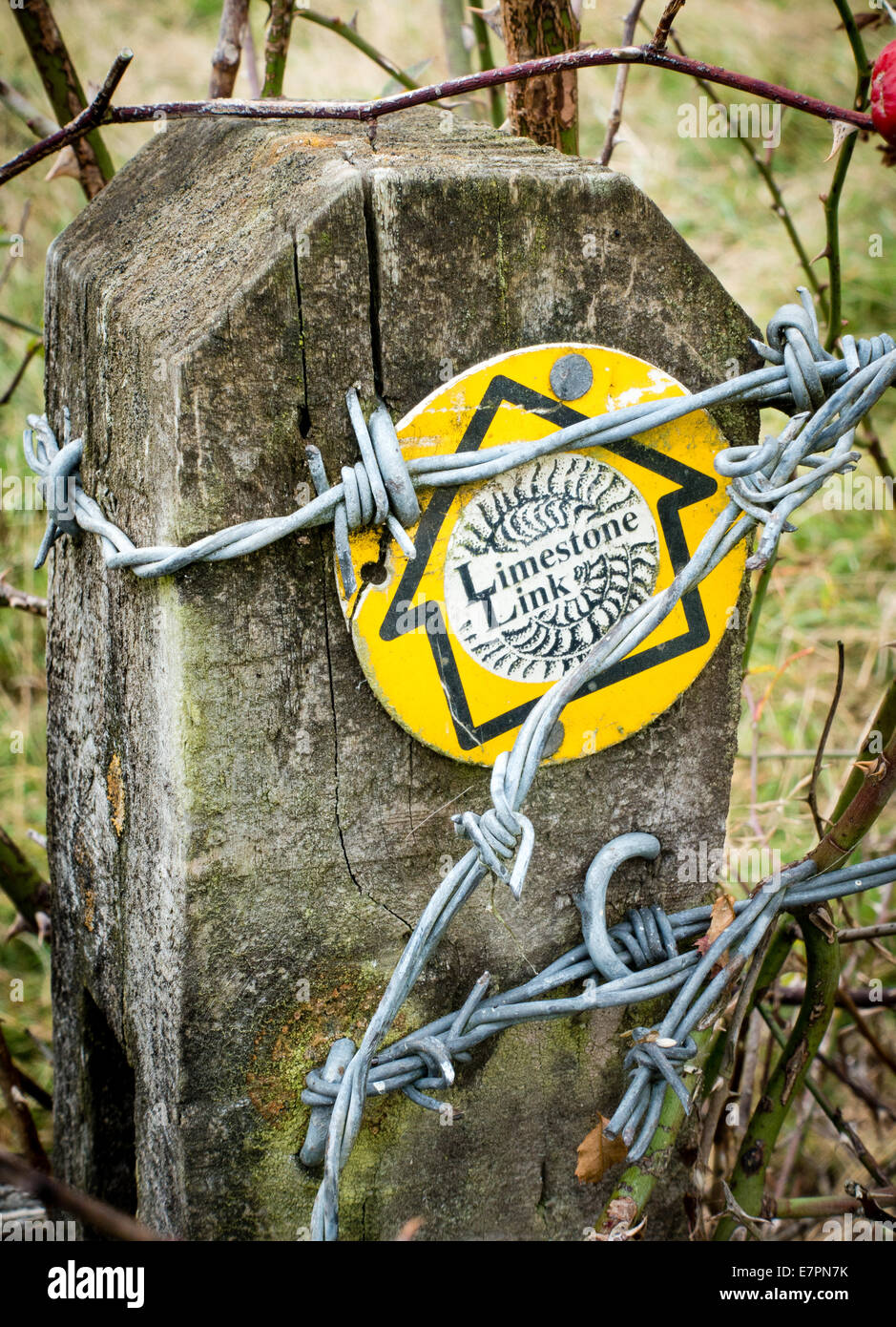 Ammonita waymarker del calcare Link national trail che collega le colline di Cotswolds e Mendips Foto Stock