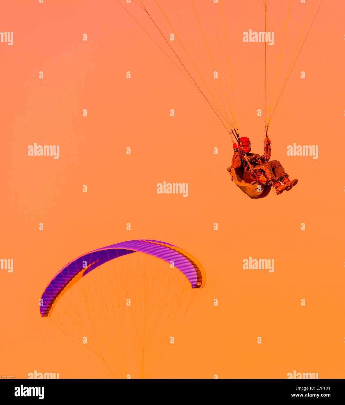 Sky Diver in cielo sul cielo arancione sullo sfondo con kite al fondo del subacqueo Foto Stock