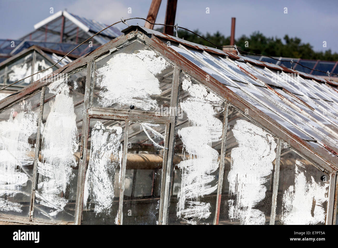Vecchia serra giardino, vetro dipinto di bianco, impianti protezione dal sole, Repubblica Ceca Foto Stock