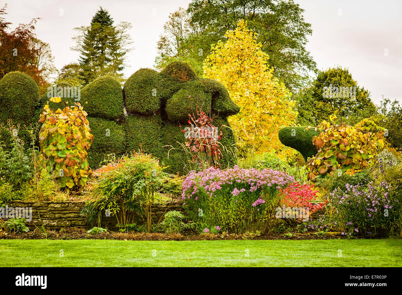 Forme e colori nel giardino di giudici in autunno Foto Stock