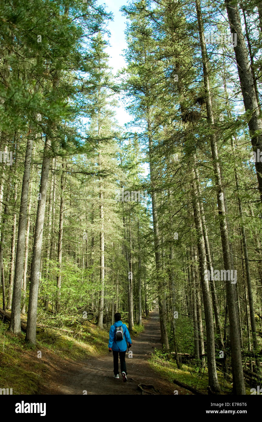 Il sentiero a piedi, Lago Minnewanka, Banff,Alberta, Canada Foto Stock