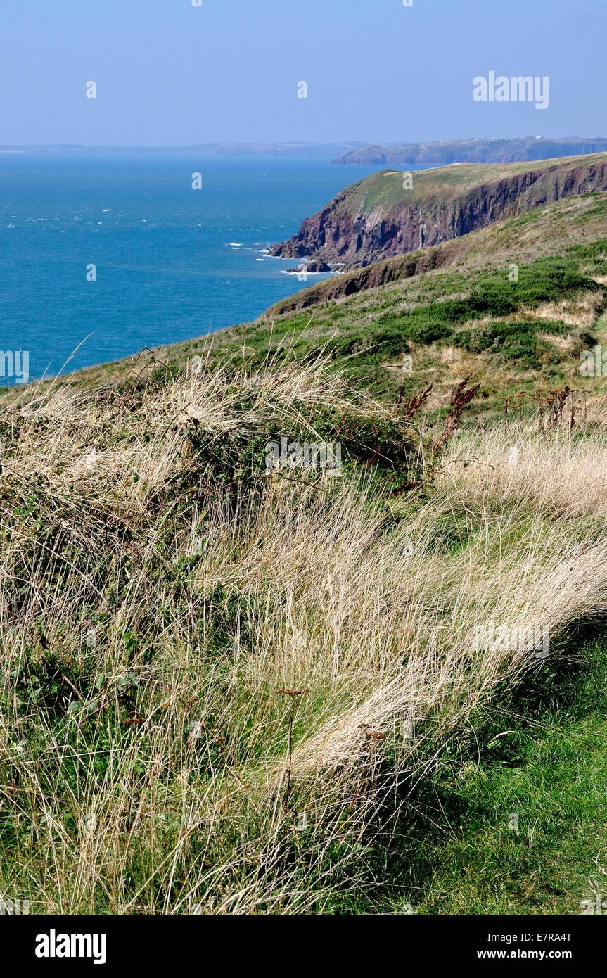 Vista da una rupe alta sulla isola di Caldey, Pembrokeshire, Wales.Terraferma nel Galles a distanza Foto Stock