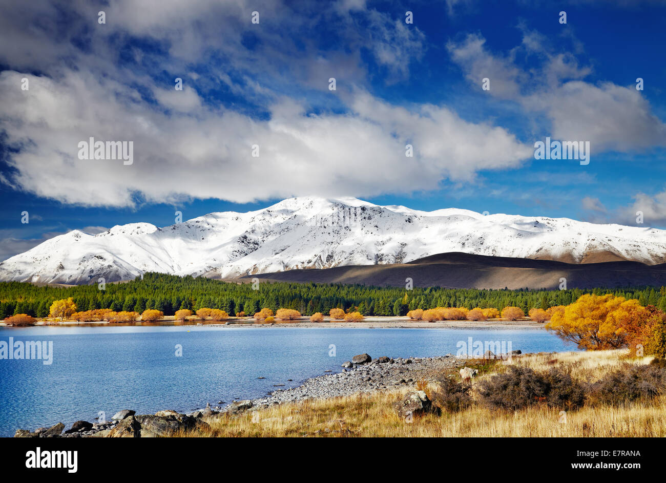 Paesaggio di Montagna, Lago Tekapo, Nuova Zelanda Foto Stock