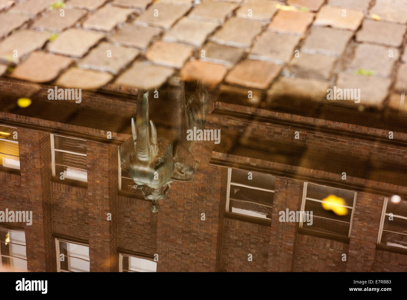 Ciottoli e riflessioni di edifici e di una scultura in Pilatuspool Str, un commerciale/quartiere degli affari della città di Amburgo. Foto Stock